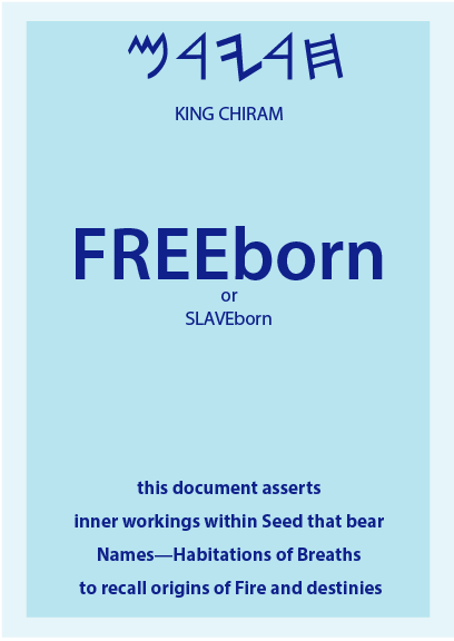 FreeBorn or Slave Book