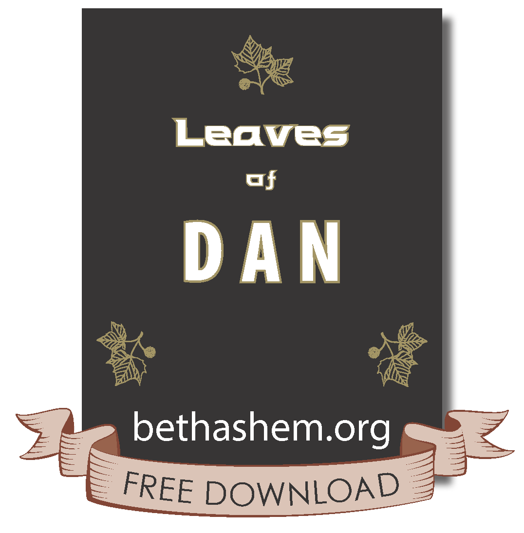The Leaves of Dan Book Cover