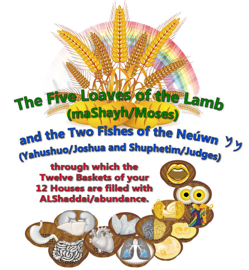 The Five Loaves and Two Fishes through which your 12 baskets of your 12 houses are filled with abundance